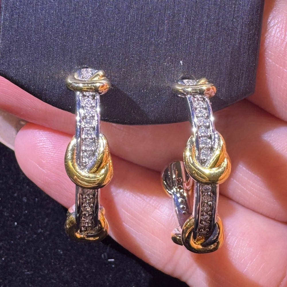 Elegant Gold and Silver Hoop Earrings